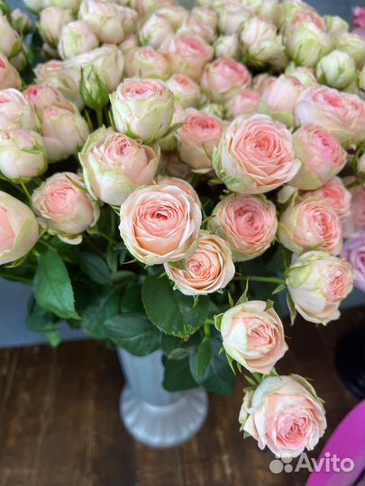 Доставка цветов Сочи Адлер Красная поляна