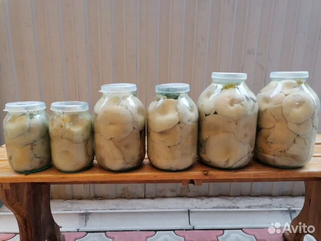 Грибы соленые:грузди,белые грибы боровики,рыжики