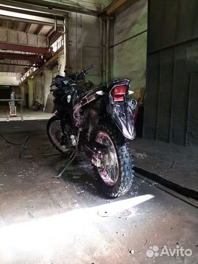 Racer ranger 200