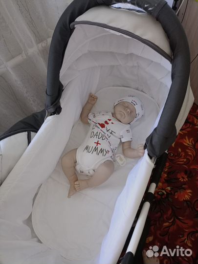 Коляска 2 в 1 Тедди