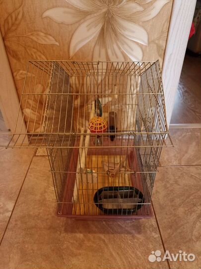 Клетка для попугая