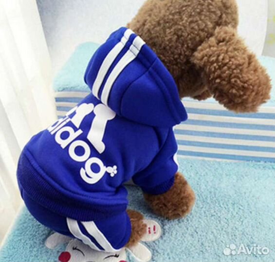 Костюм для маленькой собаки