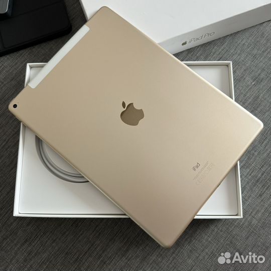 iPad pro 12.9 (Wi-Fi + Cellular)