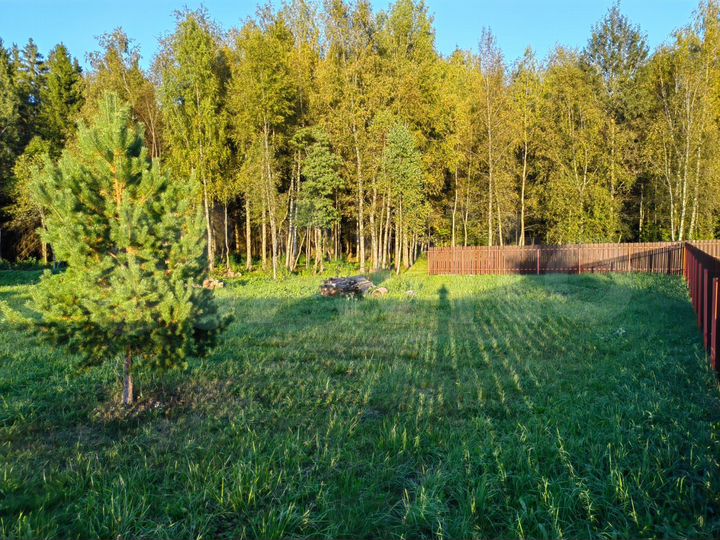 Участок 20 сот. (СНТ, ДНП)