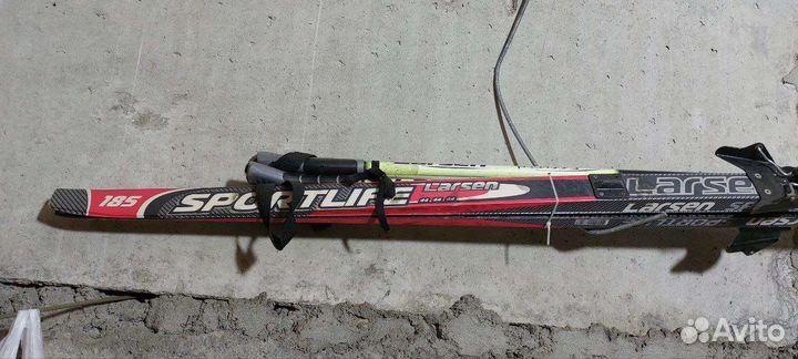 Горные лыжи