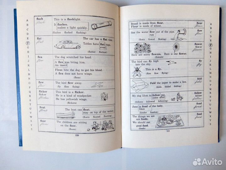 Словарь английского языка в картинках