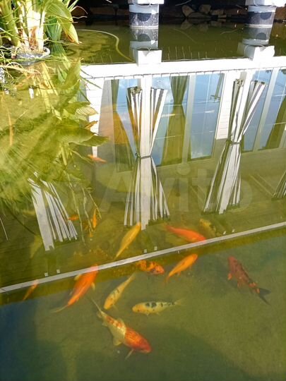 Дом 26 м² на участке 5 сот.