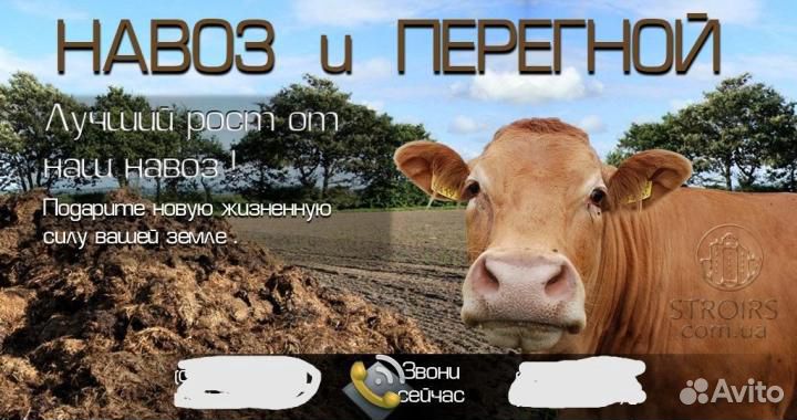 Навоз, перегной