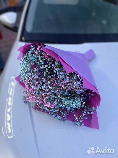 Гипсофила букет