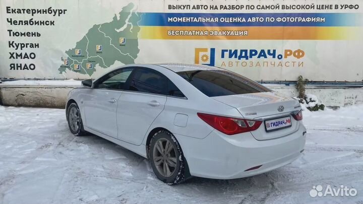 Уплотнитель стекла двери задней левой Hyundai Sonata (YF) 83231-3S000