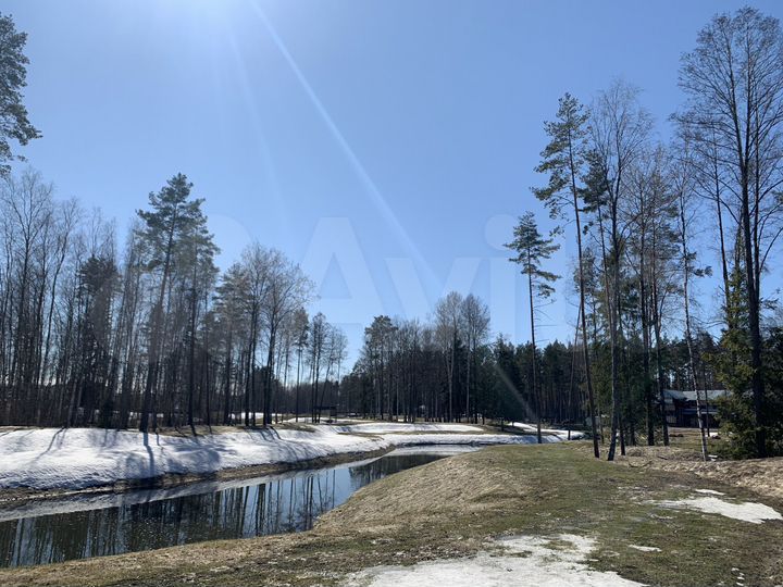 Участок 11 сот. (СНТ, ДНП)