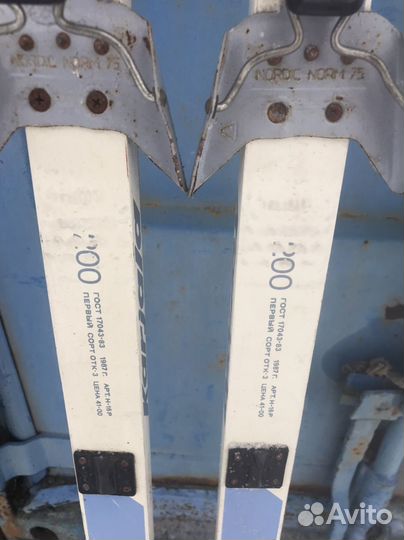 Беговые лыжи Karjala Sport plastik