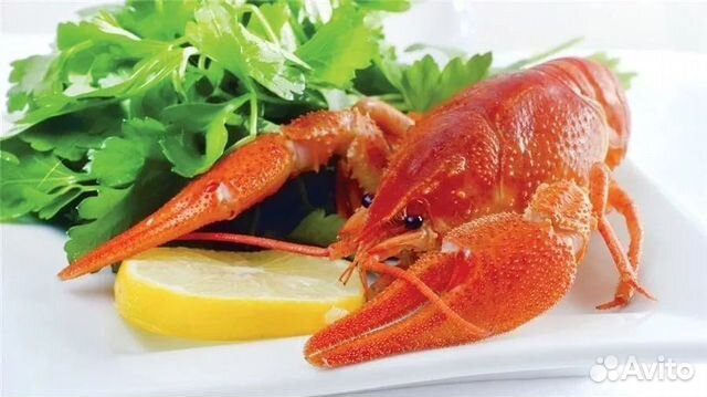 Живые раки. Вареные раки.Ярославского 68. Доставка