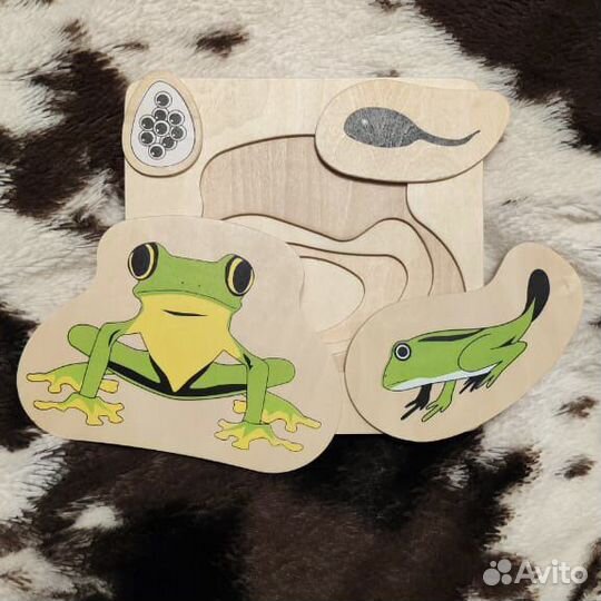 Набор монтессори процесс роста и развития