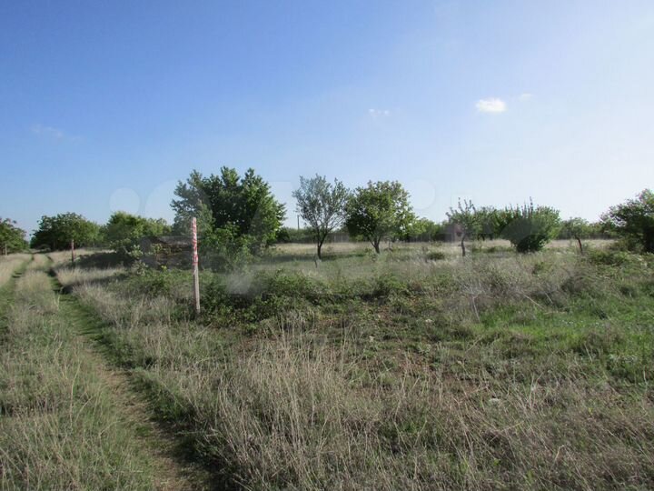 Участок 6 сот. (СНТ, ДНП)