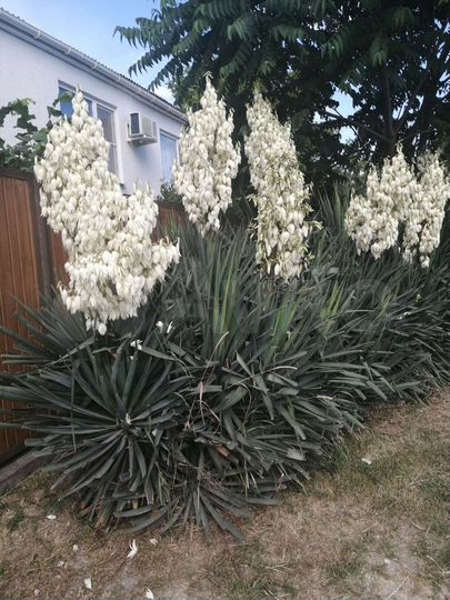 Комната 16 м², 2/2 эт.