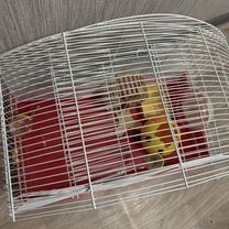 Клетка для грызунов бу