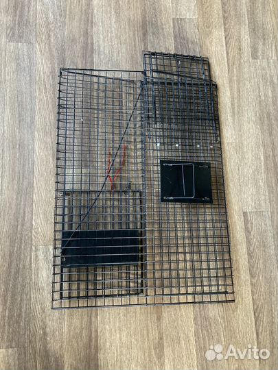 Кошколовка в аренду