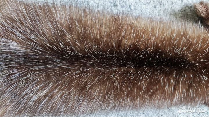 Шкурка соболя выделанная