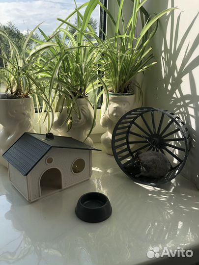 Домик, колесо, кормушка для грызунов