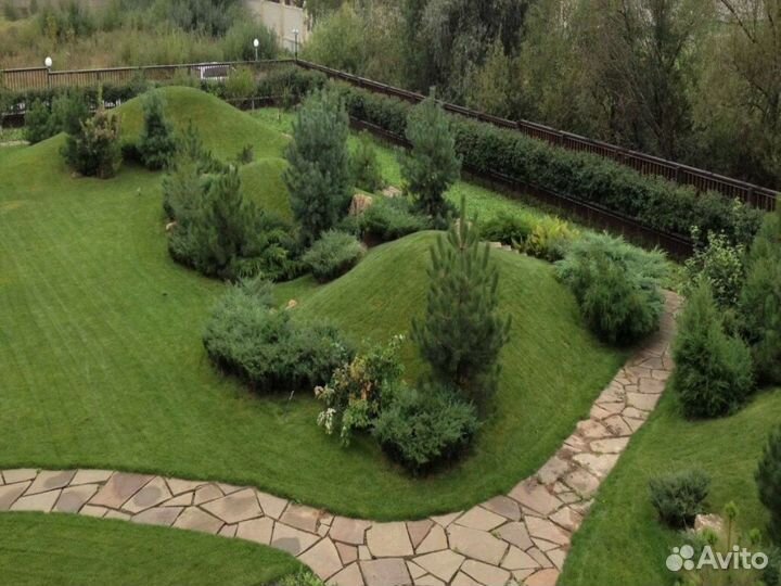 Газон.Посев газона