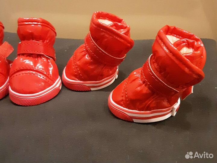 Ботинки, обувь для собак