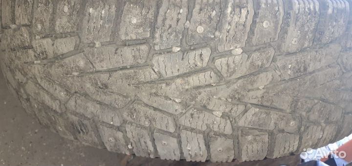 Cordiant Snow Cross 185/65 R15 и 185/65 R15 92T