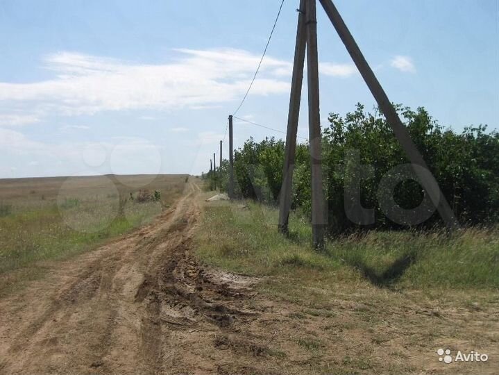 Участок 100 сот. (СНТ, ДНП)