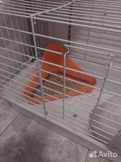 Клетка для грызуна