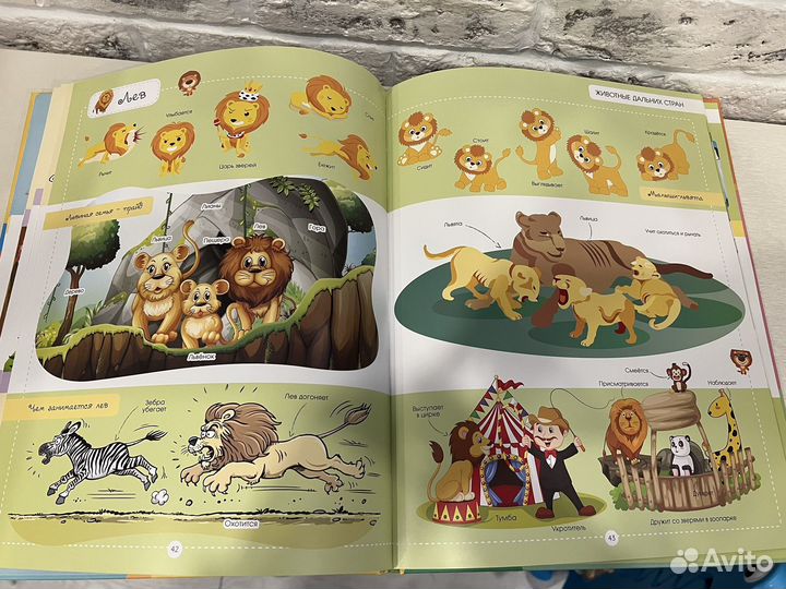 Очень большая книга о животных