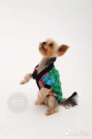 Кофта для собак Gucci