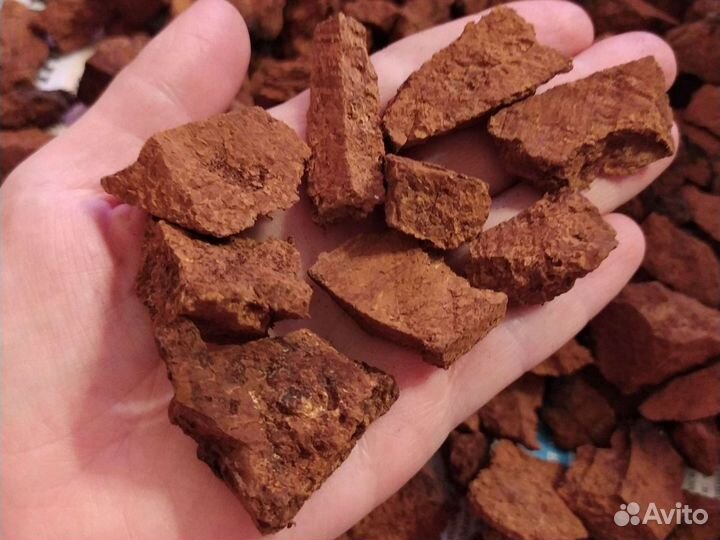 Иван-чай (кипрей), чага (берёзовый гриб)