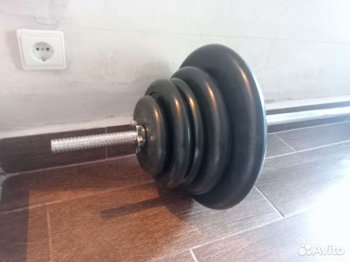 Штанга с блинами