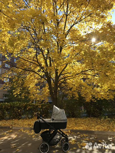 Детские коляски 2 в 1