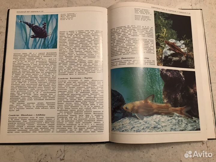 Волшебный мир Аквариума