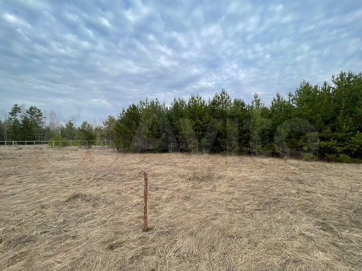 Участок 12,5 сот. (ИЖС)