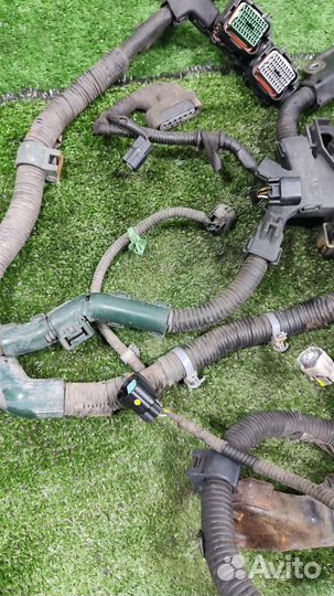 Жгут проводки двигателя Honda CR-V 3 (RE) 2007