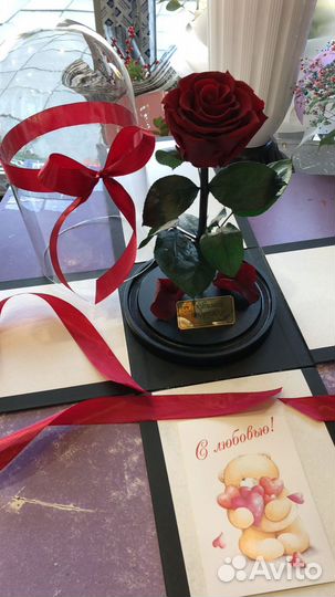 Розы клубника