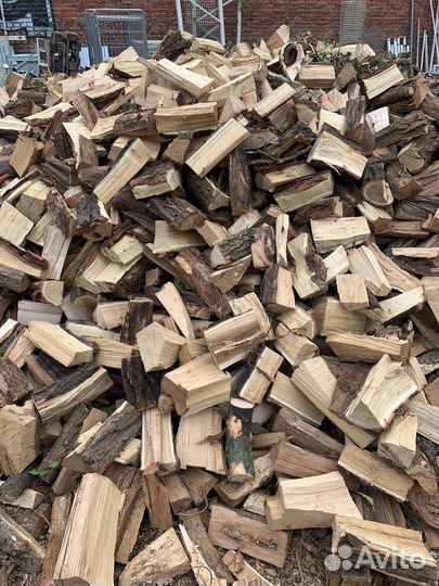 Дрова твёрдых пород