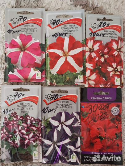 Семена петуний в драже и другие цветы