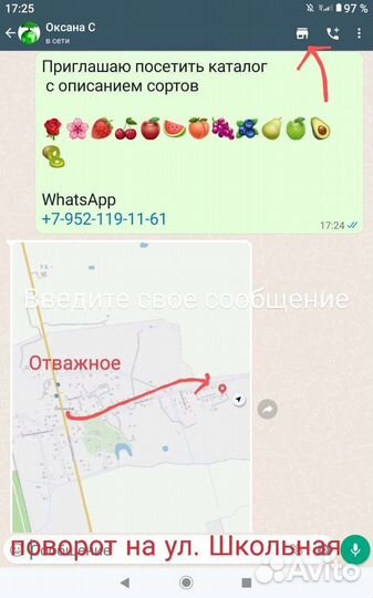 Роза Märchenzauber саженцы