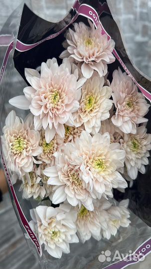 Свежесрезанные цветы, Букеты, розы, цветы