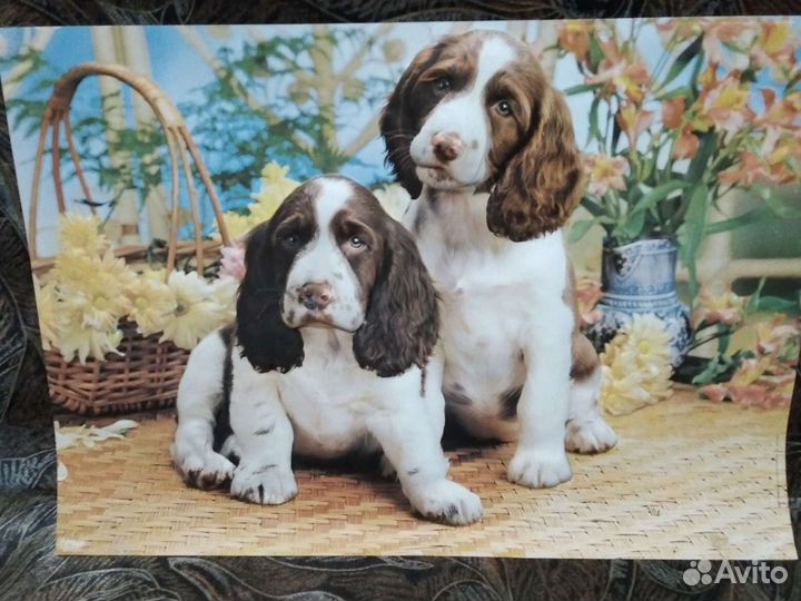 Картина 3 d Италия