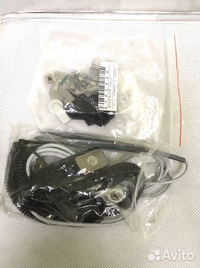 Галатея Полли