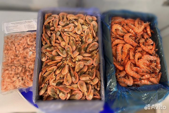 Креветки Гренландия