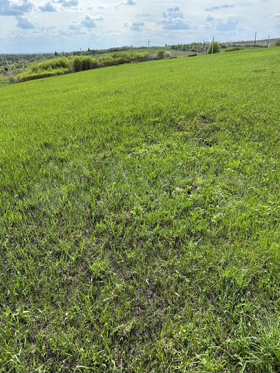 Участок 1,33 га (ИЖС)