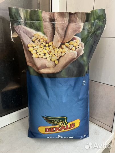 Продам семена кукурузы дкс 3169, deklab/bayer