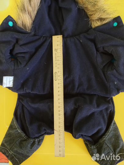 Одежда для собак мелких пород зима