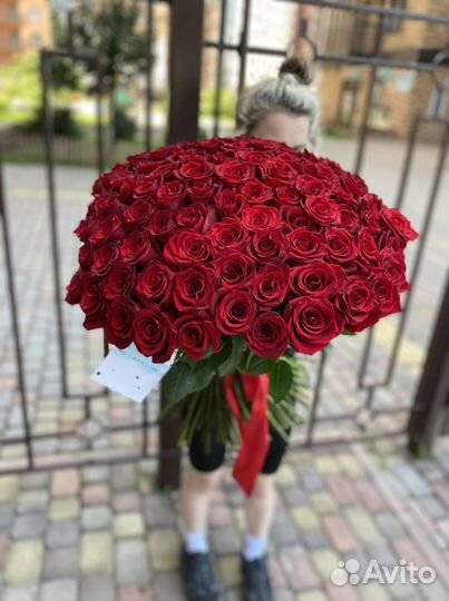 Роза.101 роза Эквадор. Премиум розы. Доставка