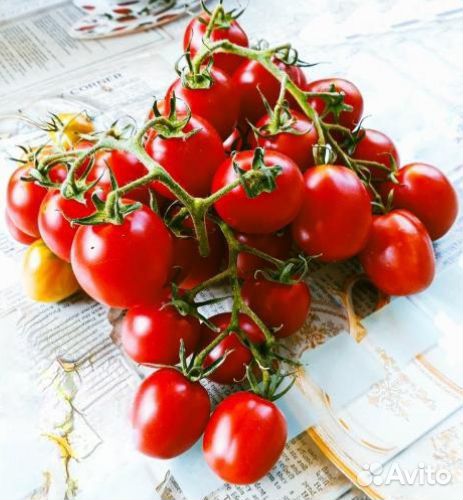 Семена коллек.Корбарино гроздевой США